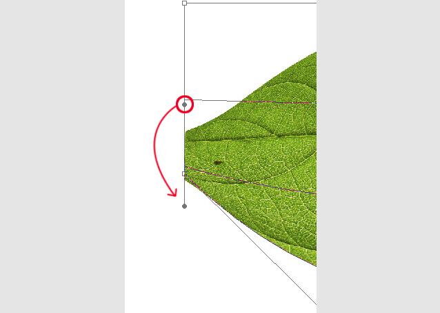 AI基础教程，教你如何用AI创建一个立体叶片5.jpg