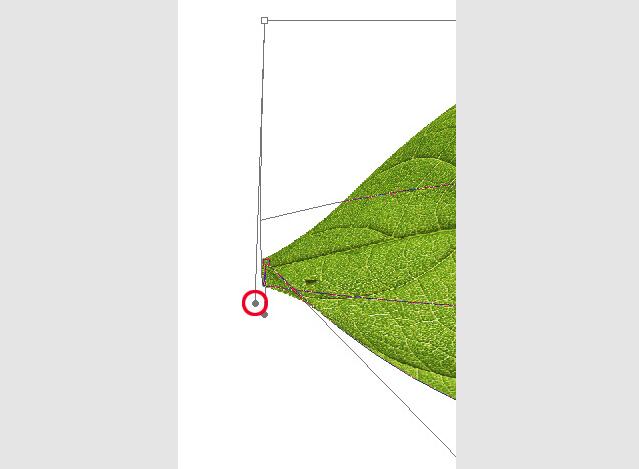 AI基础教程，教你如何用AI创建一个立体叶片6.jpg