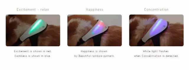 INUPATHY心率传感器束2.webp.jpg