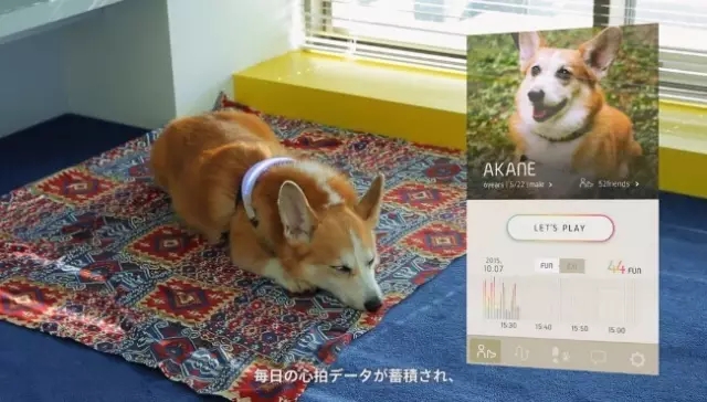 INUPATHY心率传感器束3.webp.jpg