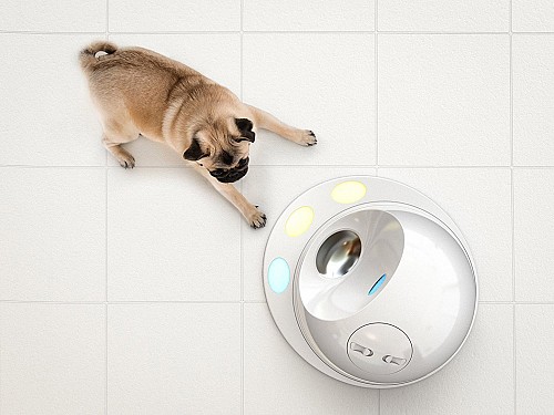专为狗狗设计的游戏机CleverPet Hub2.jpg