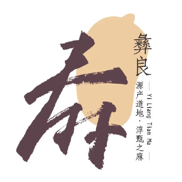 彝良天麻1.jpeg