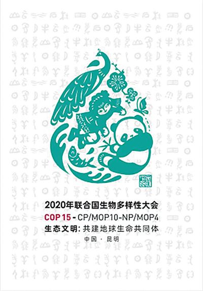 2020年联合国生物多样性大会.jpg