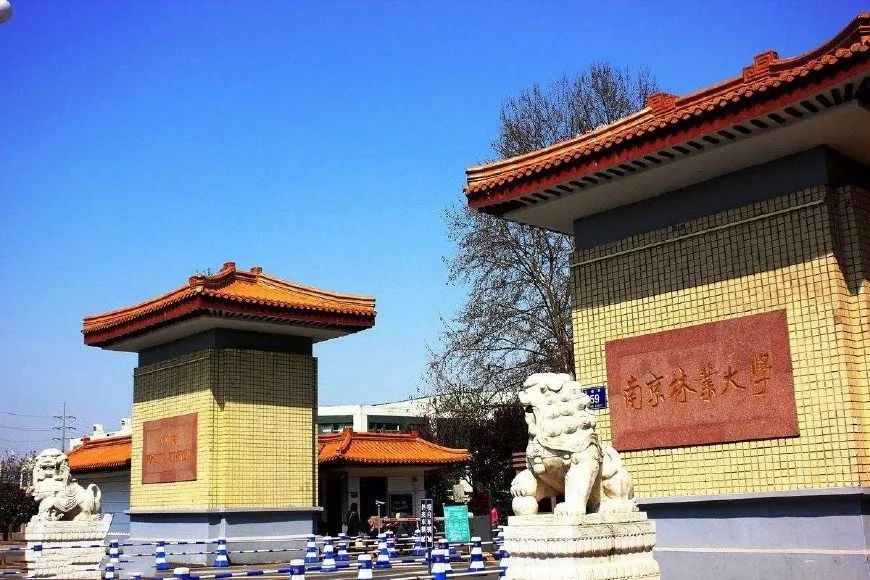 1603421312429494.jpeg 1.jpeg