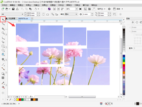 CorelDRAW基础教程，教你cdr如何等分分割图片