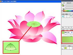 ​Illustrator绘图教程，教你ai钢笔的应用绘制矢量荷花插画